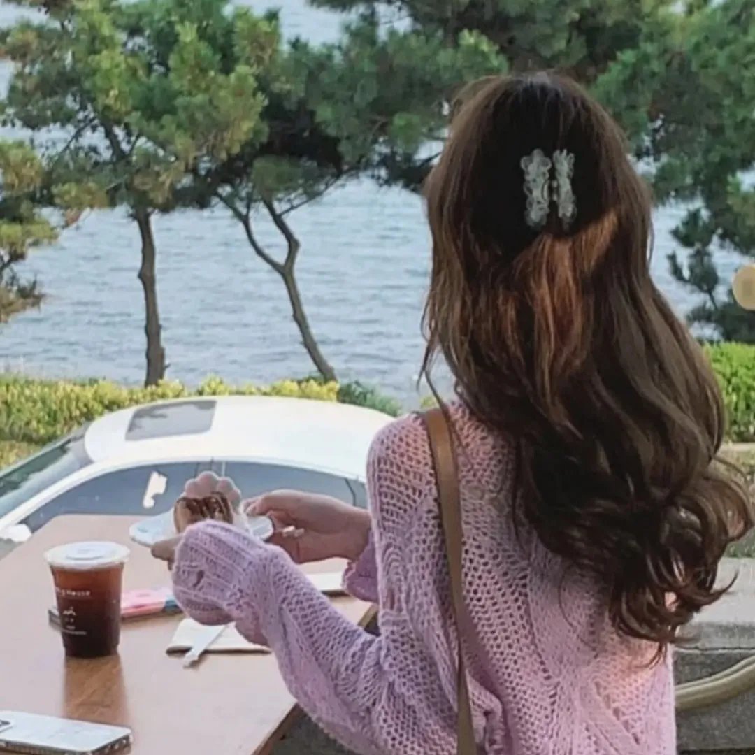 盗贼生涯
